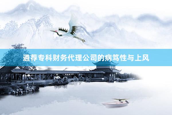 遴荐专科财务代理公司的病笃性与上风